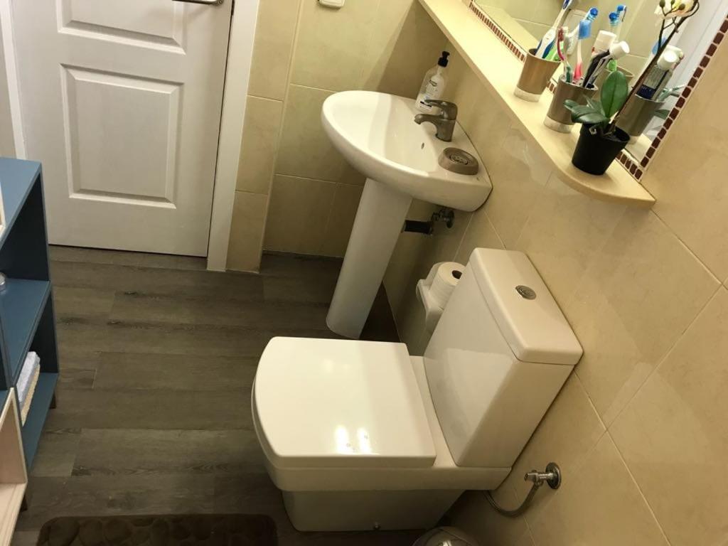507 Oasis Xalet